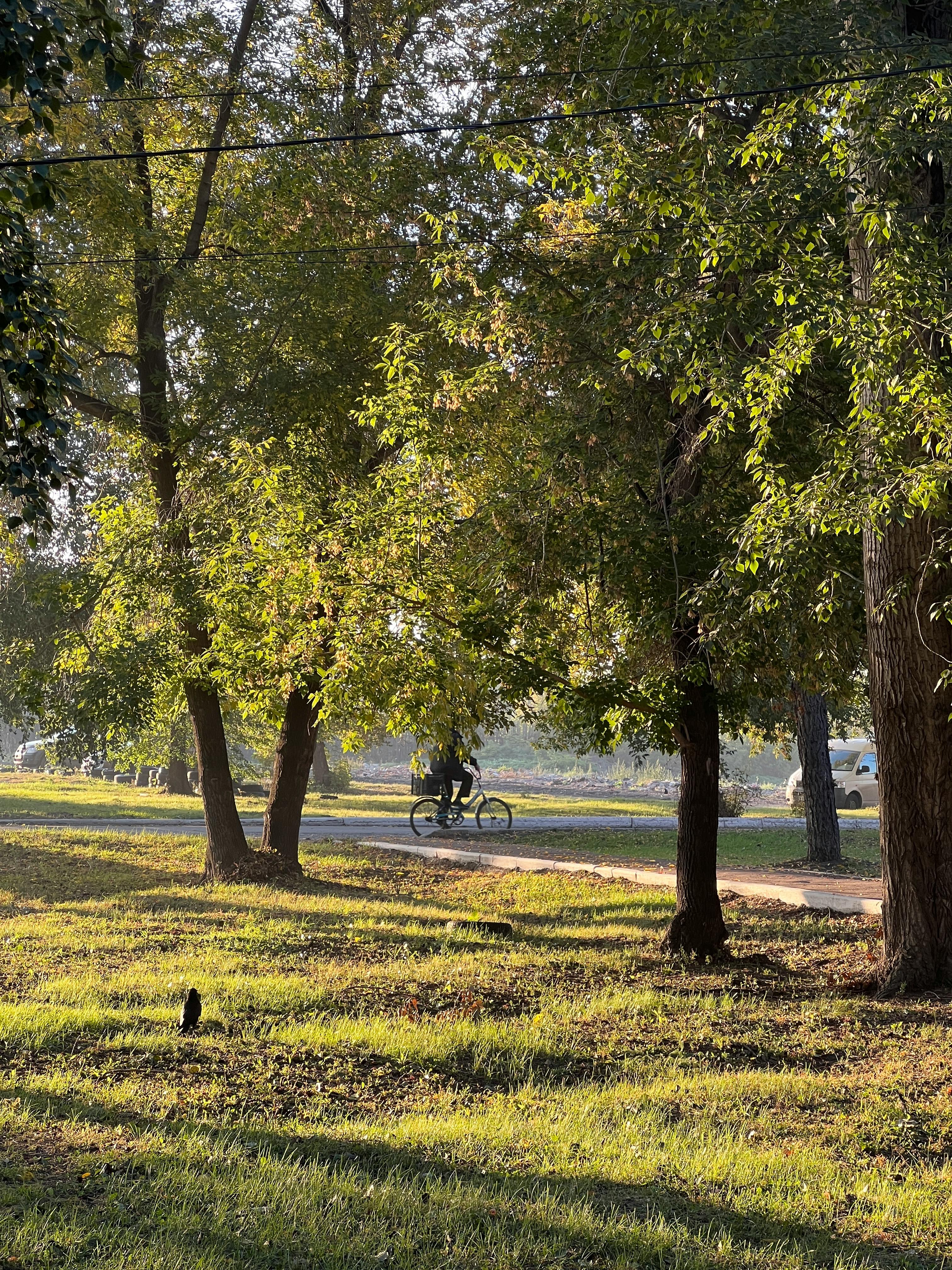 riding a cruiser bike