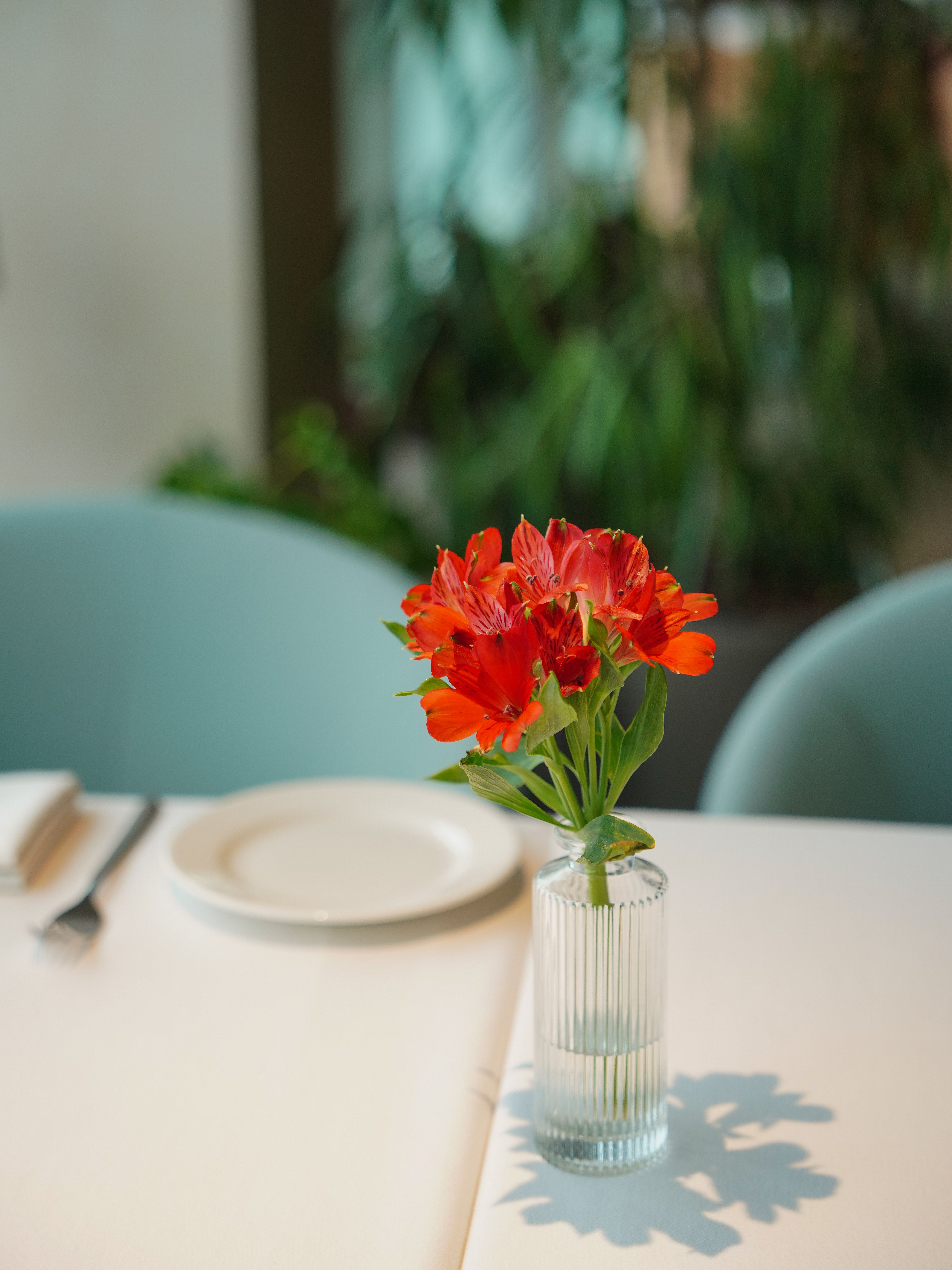 Red Flowers in a Glass Vase Standing on a Table · Free Stock Photo