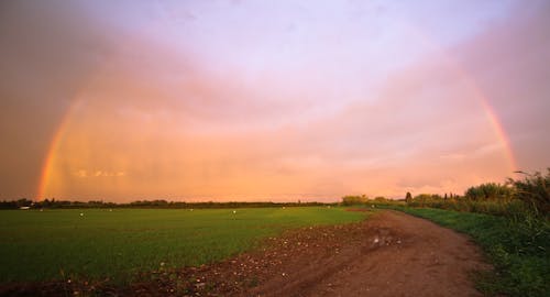 Free stock photo of rainbow, rainbow bridge, rainbow colors