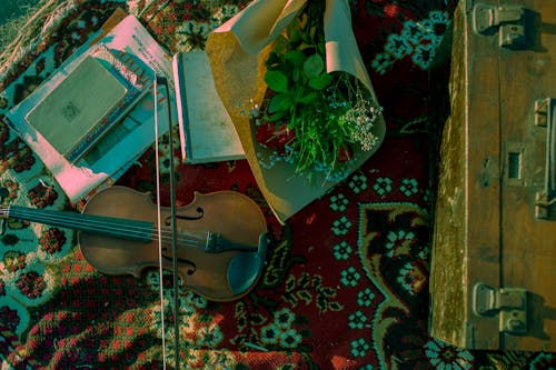 Violin and Flowers Lying on Blanket 