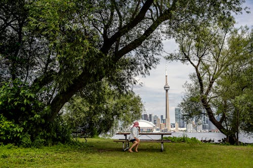 Woman Sitting on Bench Looking at CN Tower in Toronto