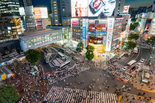 Tokyo Photos, Download The BEST Free Tokyo Stock Photos & HD Images