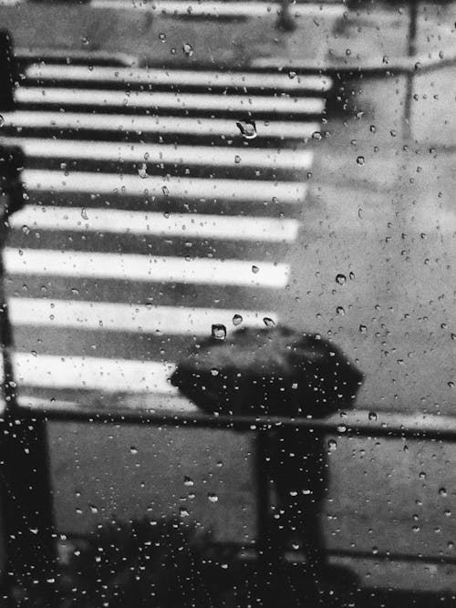 Fotobanka s bezplatnými fotkami na tému abstraktný, čiernobiely, dážď
