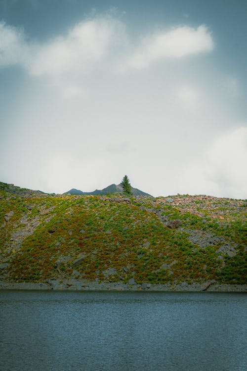 Kostenloses Stock Foto zu baum, berg, fluss