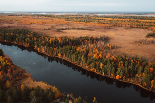 Aerial View of Autumn Forest Between Rivers