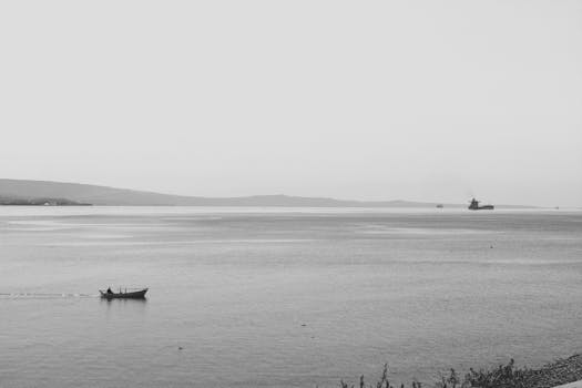 Serene black and white seascape featuring a small boat and distant cargo ship.