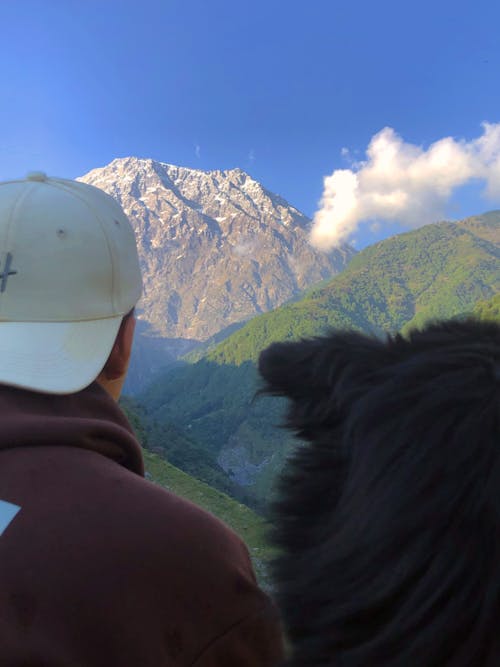 Základová fotografie zdarma na téma dobrodružství, domácí mazlíček, hory