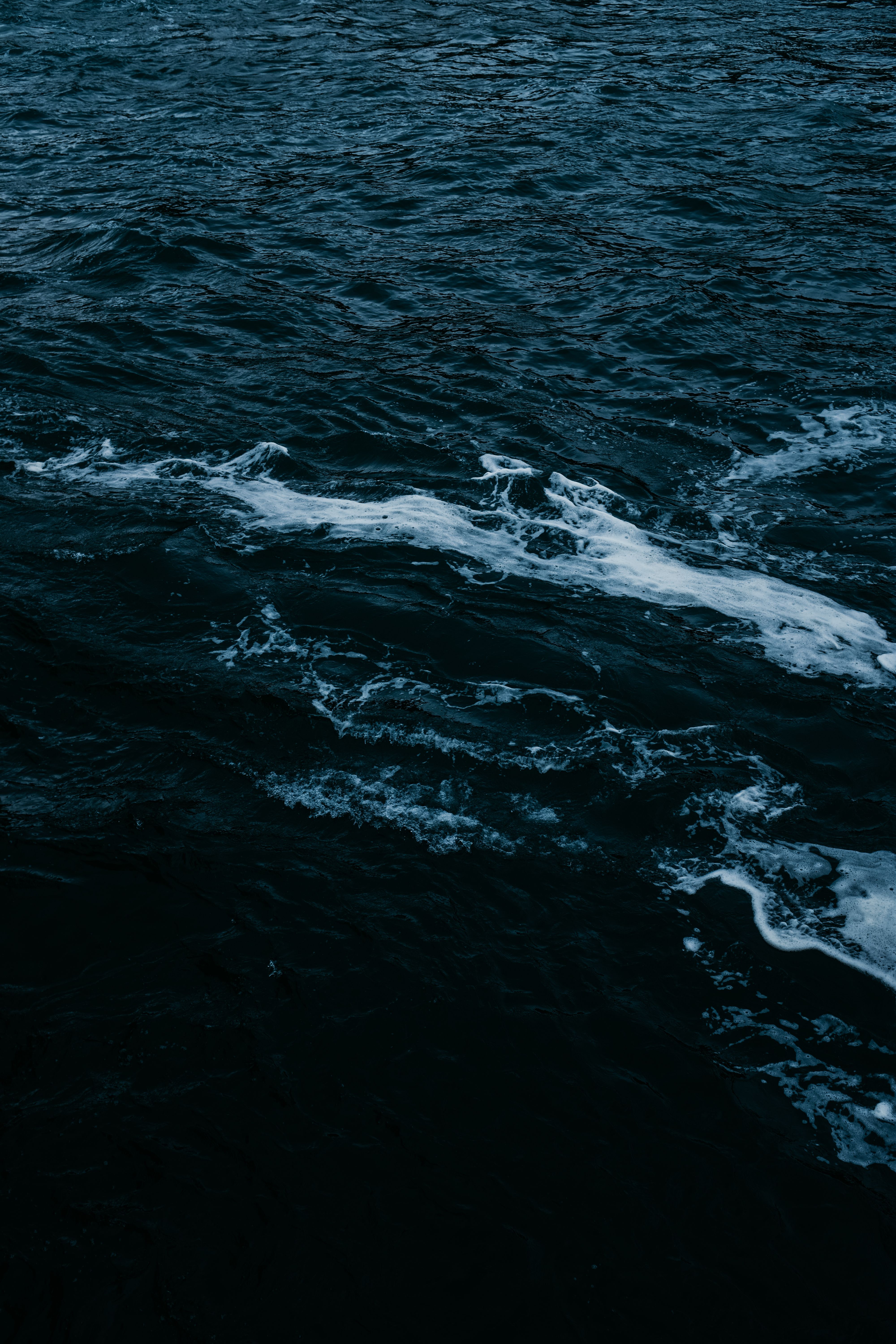 Foamy Waves on the Sea Surface · Free Stock Photo
