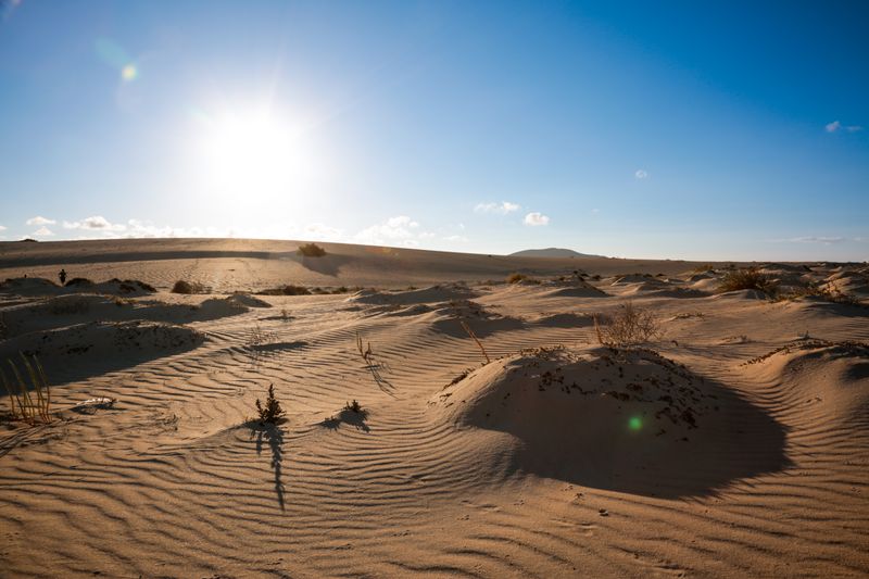 Wide sandy beach and dunes at Grandes Playas near Corralejo