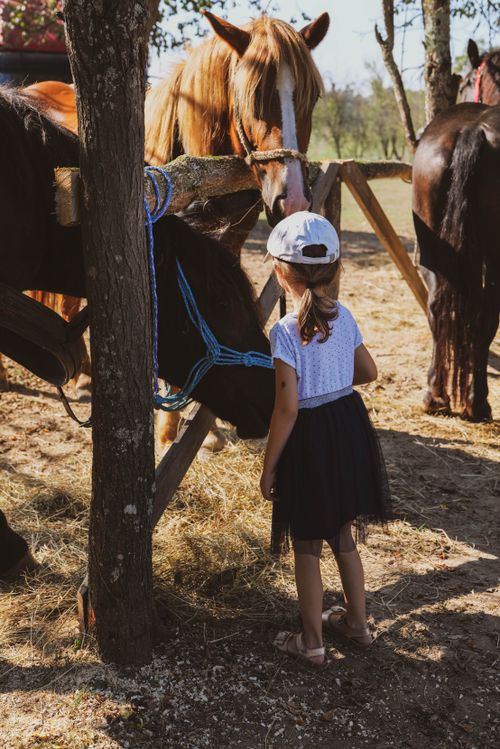 Free A young girl interacts with horses at a rural farm in Croatia. Stock Photo