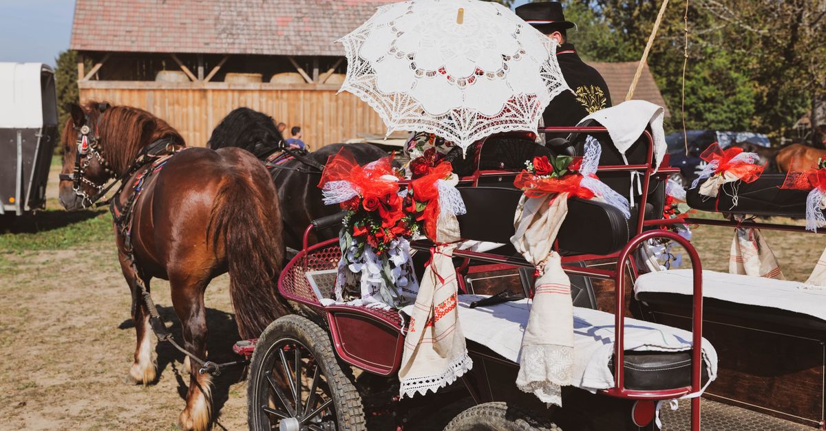 Elegant horse-drawn carriage in rural Duhovi, Croatia, adorned with decorative fabrics and flowers.