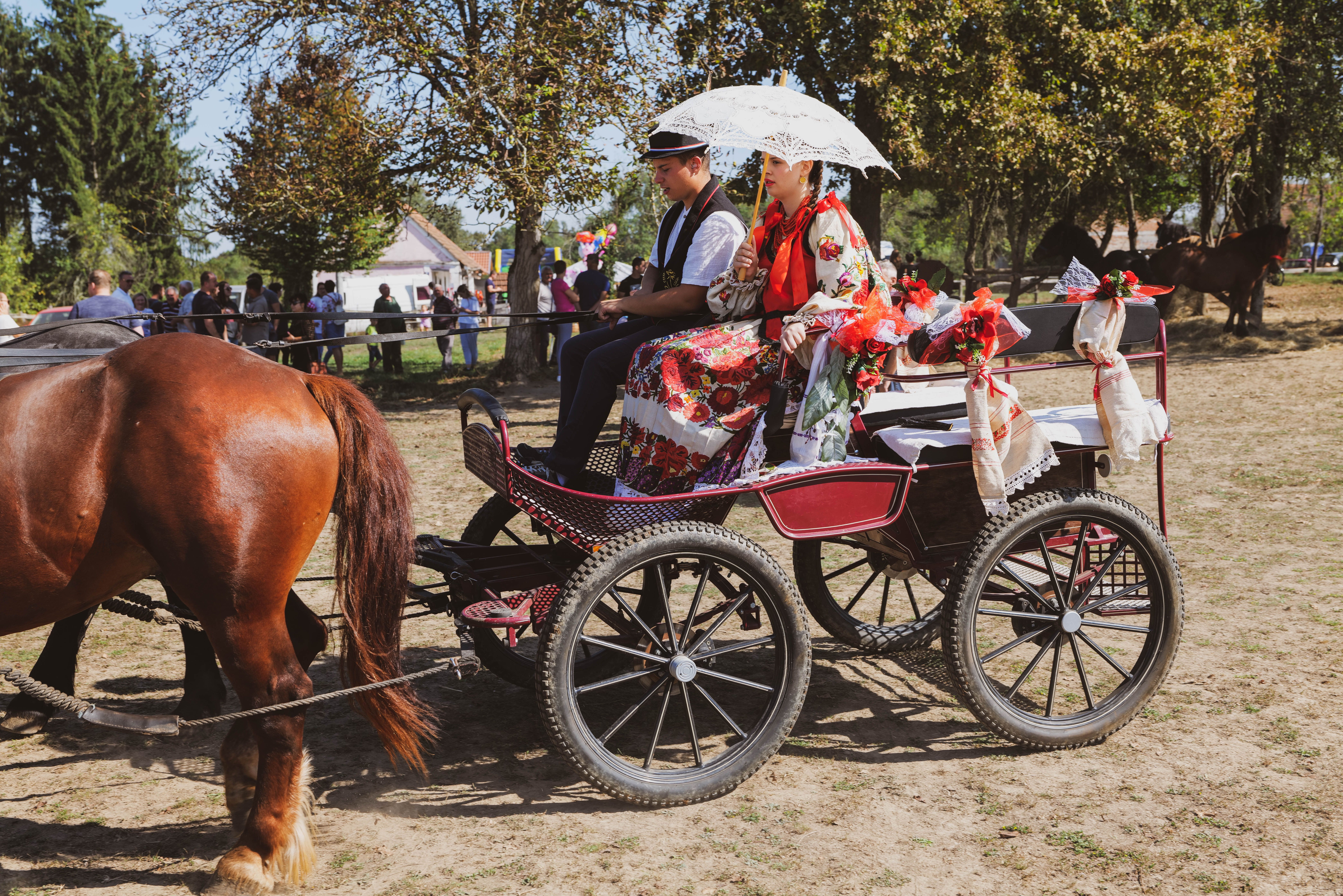 Couple in folk costumes enjoying a horse-drawn carriage ride at a vibrant outdoor festival in Duhovi, Croatia.