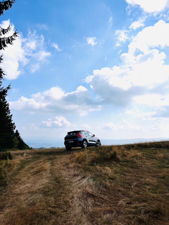 SUV Parked on a Grass Field