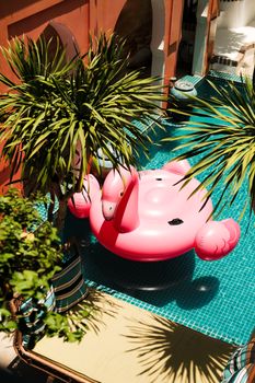 Luxurious pool scene with inflatable flamingo and tropical vibes in Vũng Tàu, Vietnam.