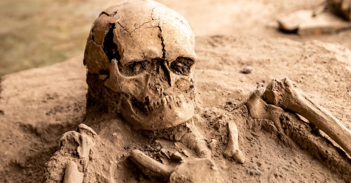 Fossils that document the shift to upright walking in humans Fossils that document the shift to upright walking in humans