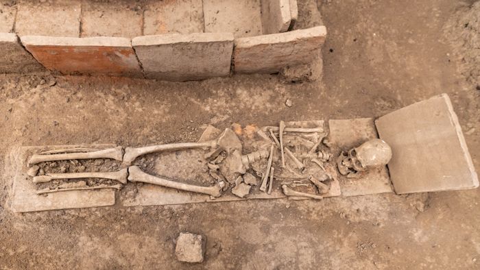 Ancient DNA Reveals Ghost Population