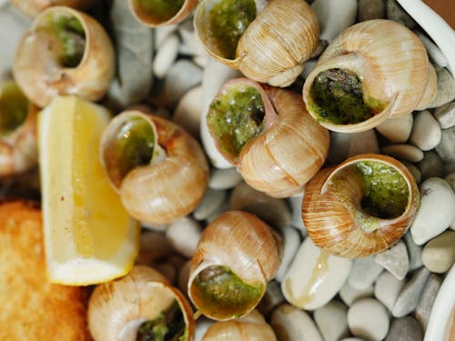 Foto profissional grátis de alimento, atendendo, caracóis