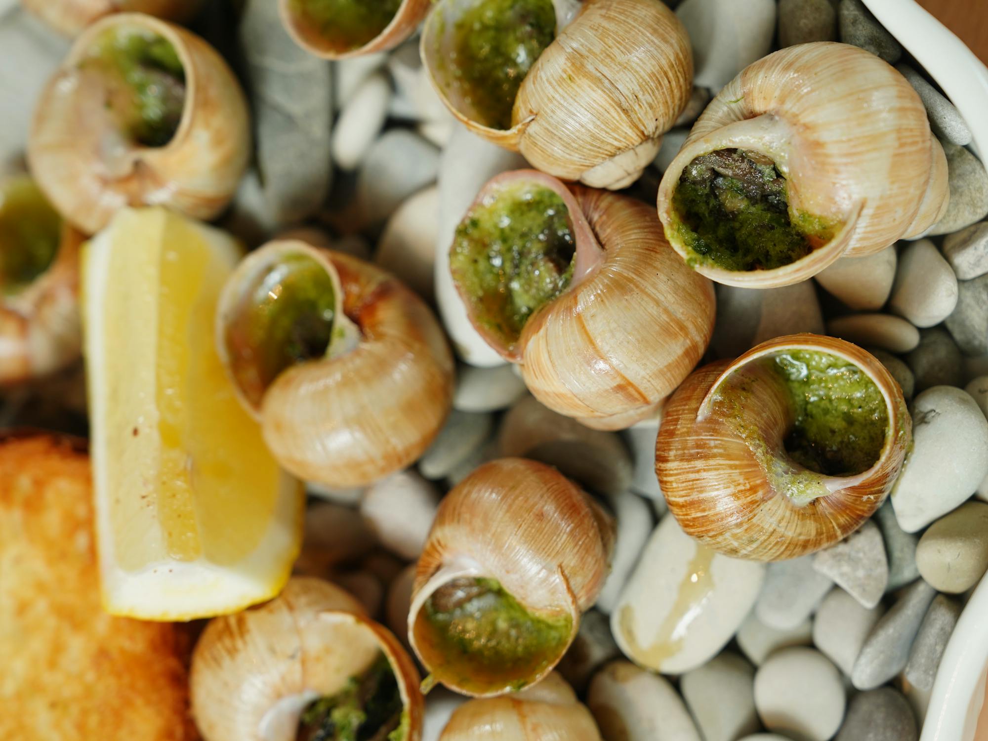 Escargot Snails with Filling