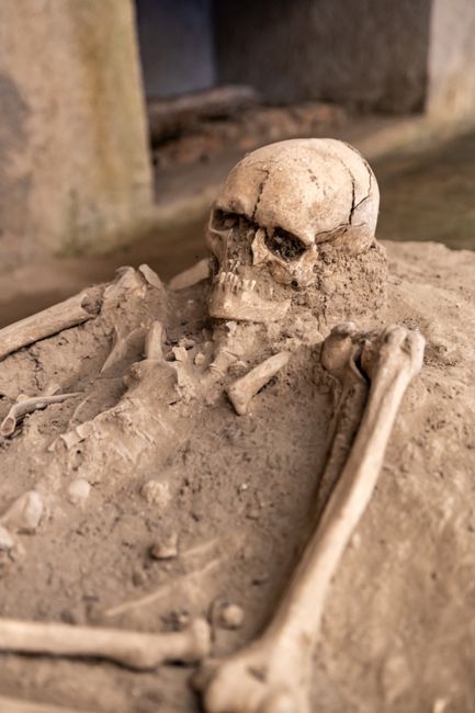 Unearthing the Past: A Fossil Hunter's Paradise Unearthing the Past: A Fossil Hunter's Paradise