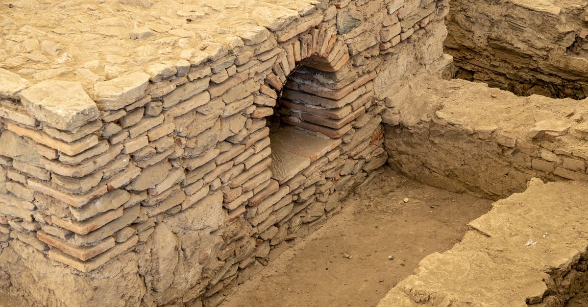 Los hallazgos arqueológicos que redefinieron la ciencia moderna Los hallazgos arqueológicos que redefinieron la ciencia moderna