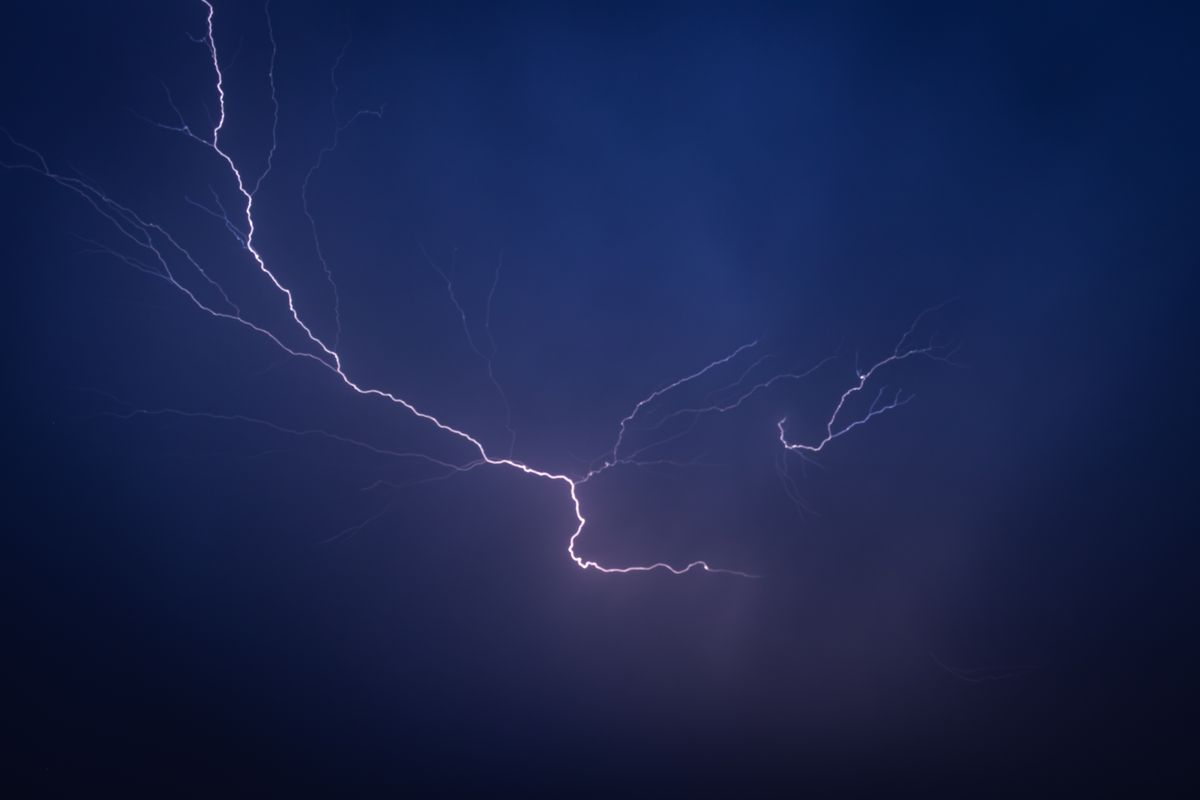 Chien qui a peur de l'orage : comment l'apaiser - Chien qui a peur de l'orage : les gestes immédiats pour l'apaiser