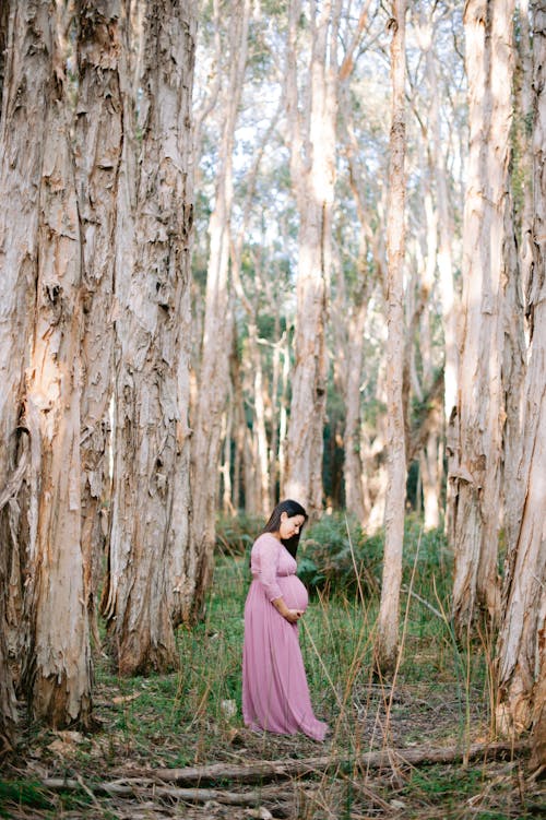 Pregnant Woman in a Pink Maternity Dress in the Forest
