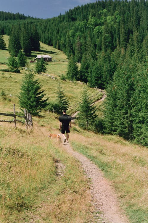 Backpacker Hiking with Dog in Mountains