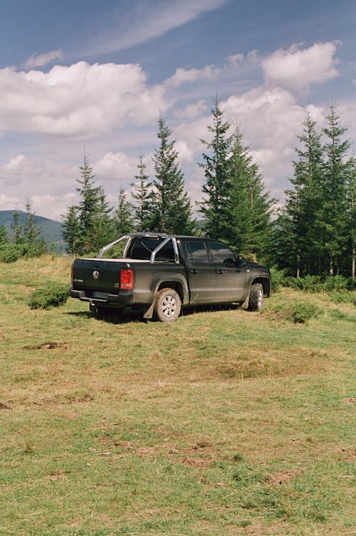 Black Volkswagen Amarok on Meadow