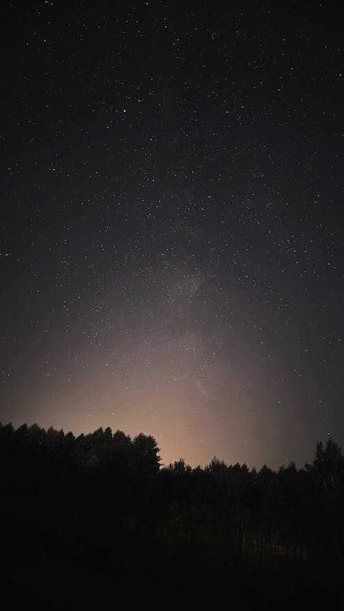 Beautiful Night Sky over Woods