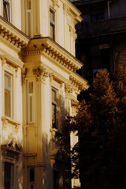 Free Sunlight illuminates a neoclassical building facade with ornate carvings and shadows of trees. Stock Photo