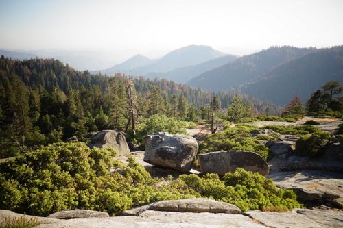 Free Breathtaking view of Yosemite Valley with rocks, lush trees, and mountains under a clear sky. Stock Photo