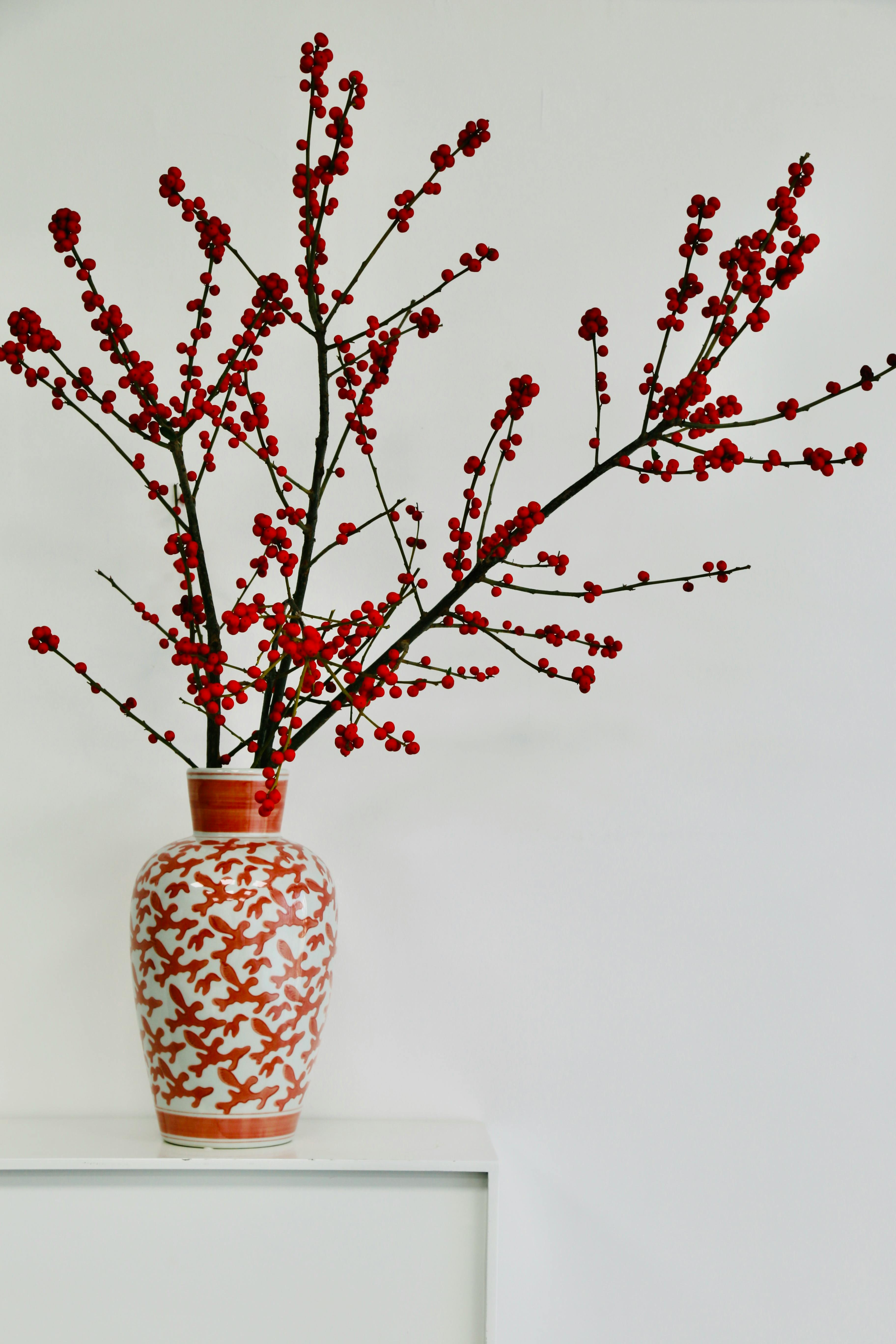 Black and White Still Life with Plant Branches Standing in a Vase