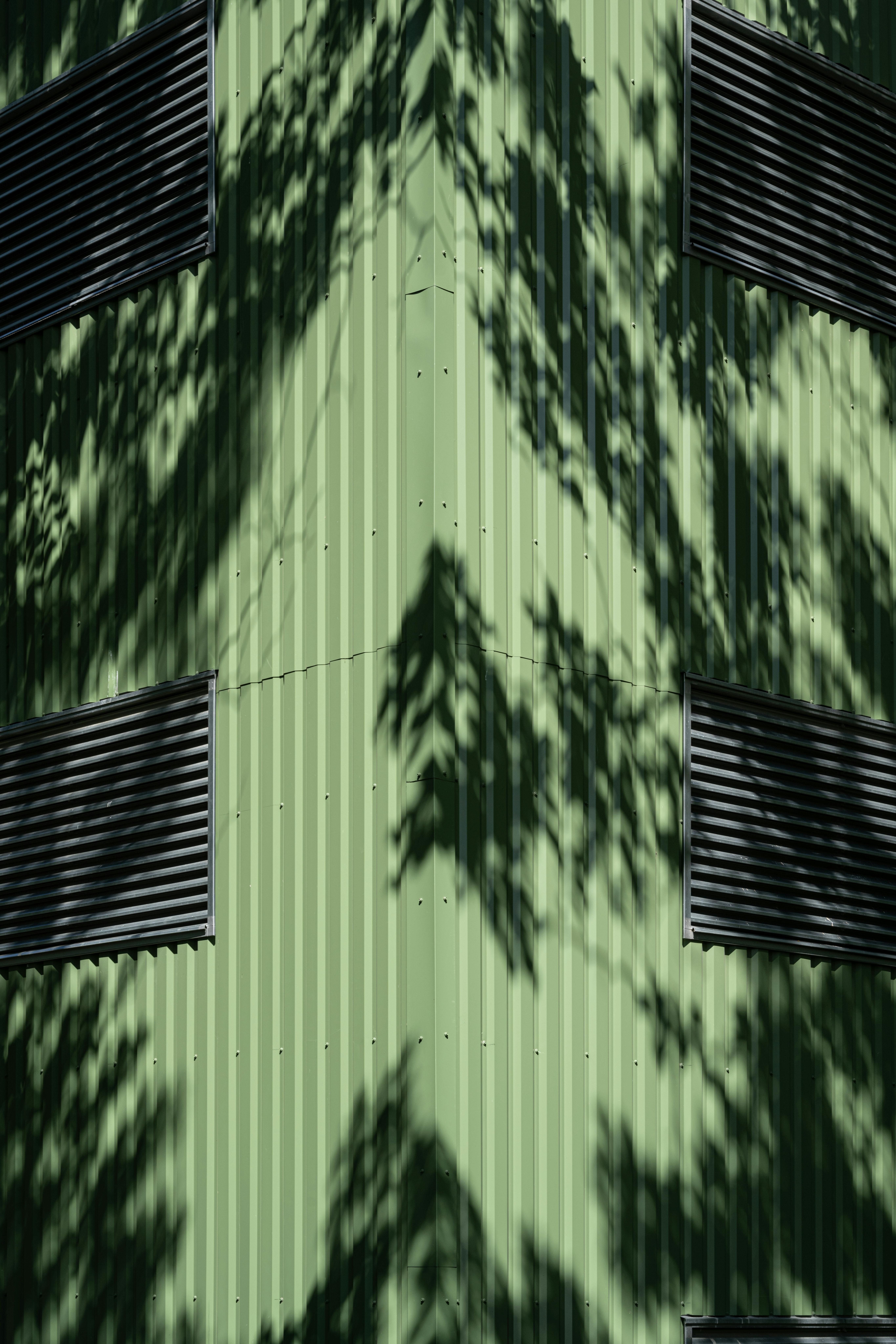 Sunlit green facade with striking tree shadows and black window shutters.