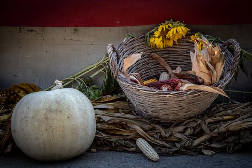 Free Autumn-themed still life with pumpkin, corn, and sunflowers in a rustic basket. Stock Photo
