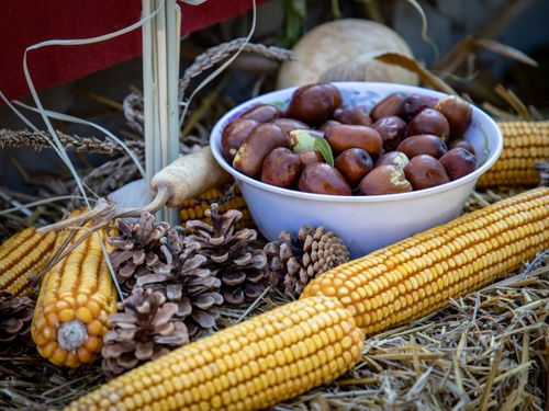 Free A rustic autumn arrangement featuring corn, nuts, and pinecones, ideal for seasonal displays. Stock Photo