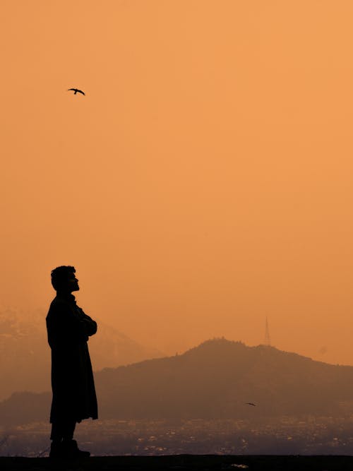 Silhouette of Man Standing Alone at Sunset