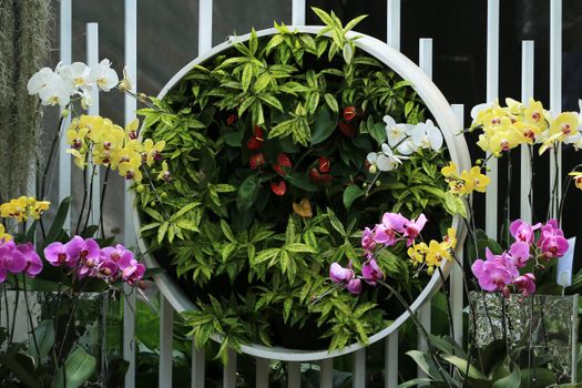 Colorful arrangement of orchids and lush tropical plants in a decorative garden setting.