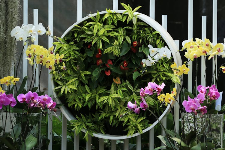 Fence With Flower Decoration