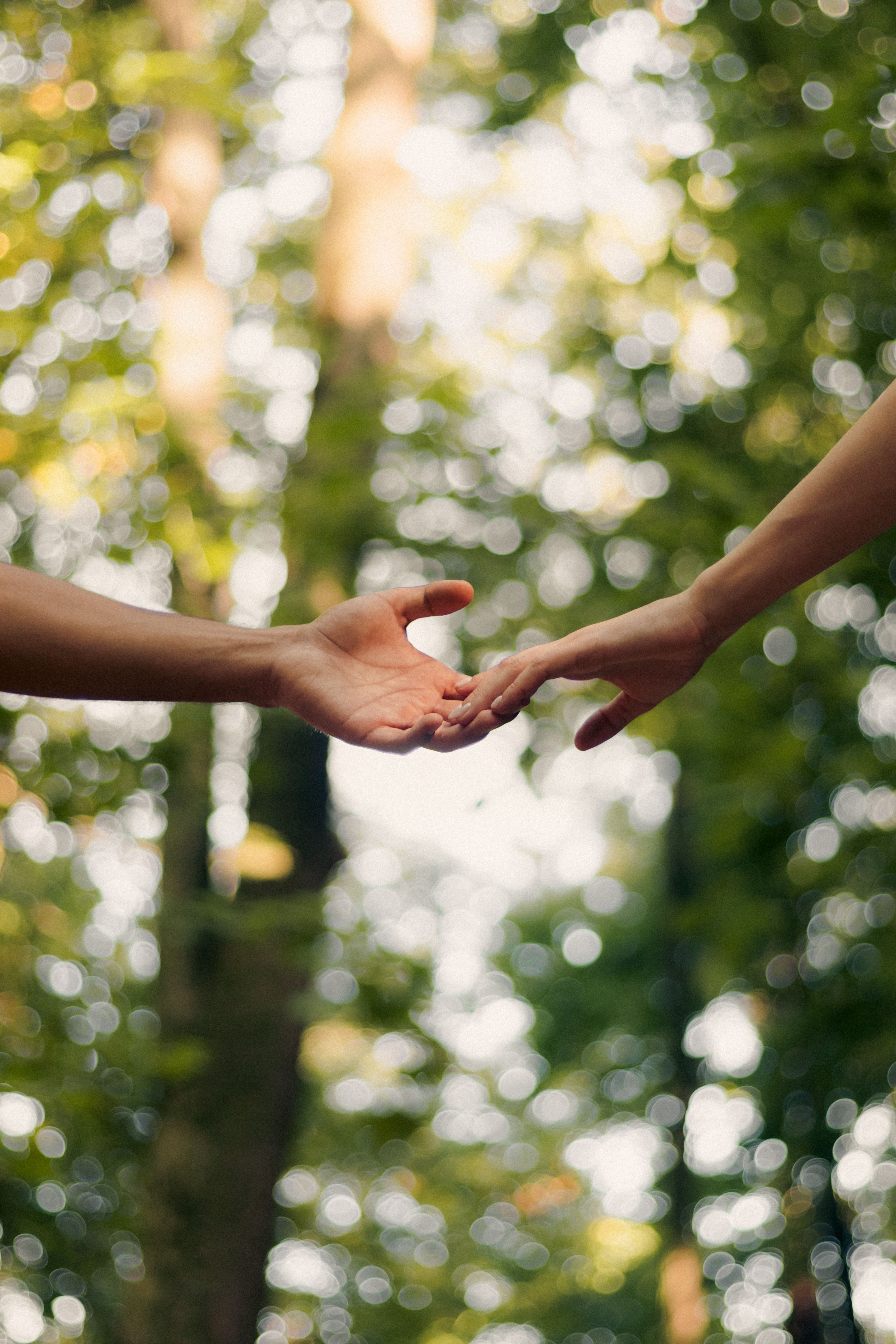Close-up of People Holding Hands · Free Stock Photo