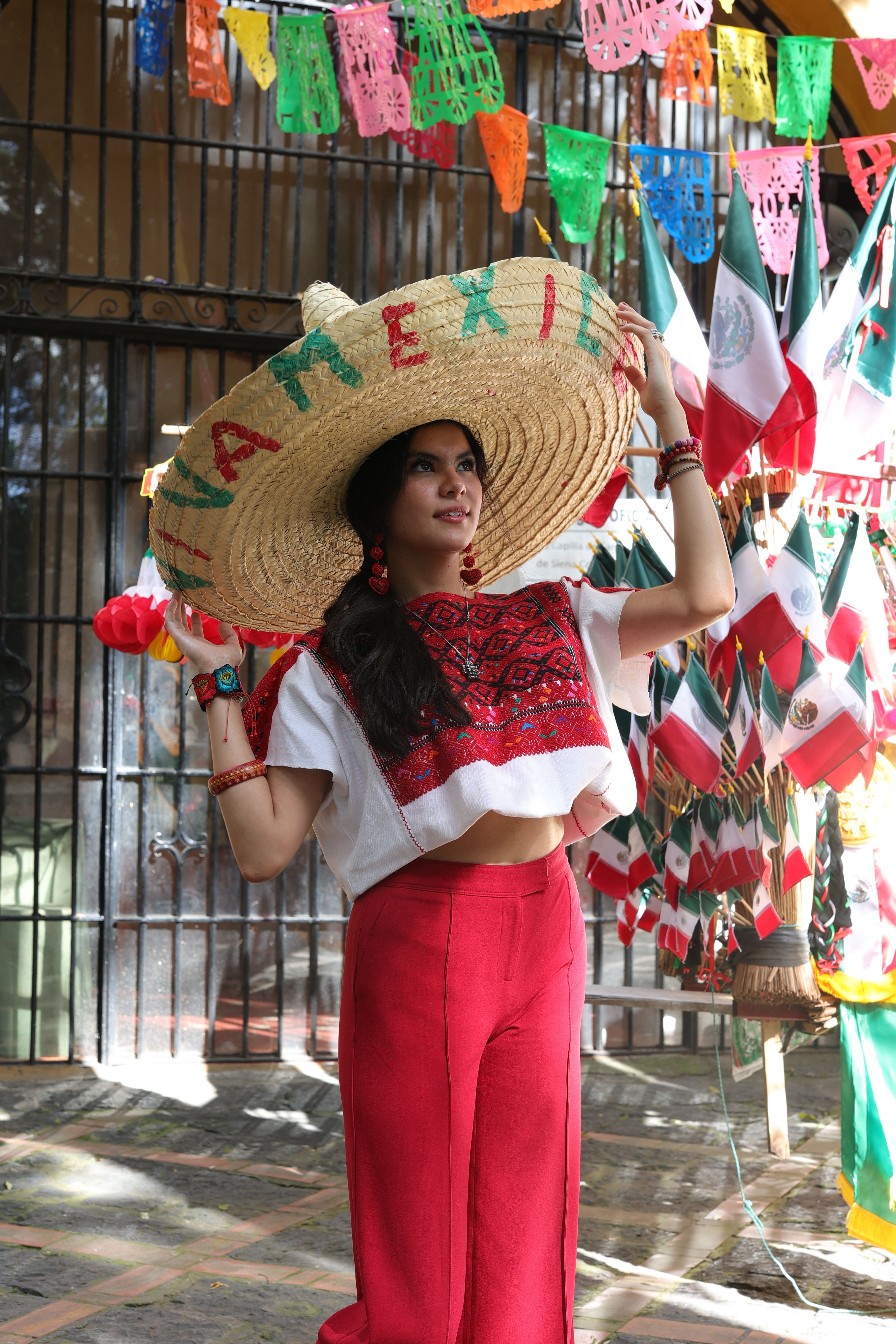 Foto de stock gratuita sobre acción, actitud festiva, adulto, al aire ...