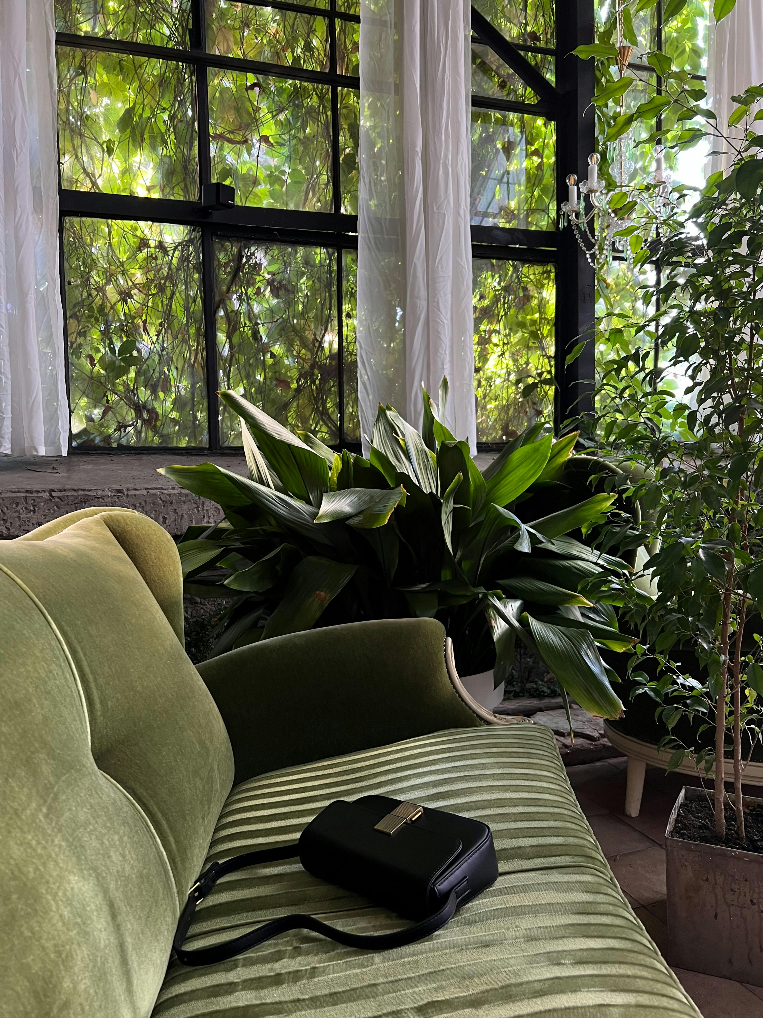 A black handbag resting on a green sofa beside houseplants