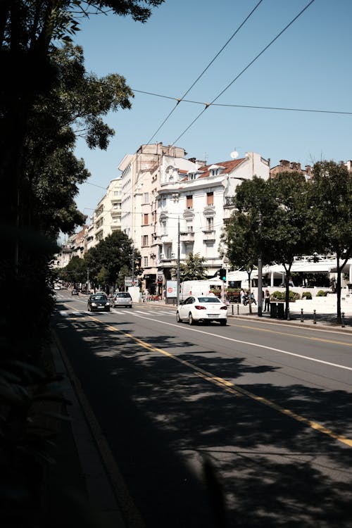 Fotobanka s bezplatnými fotkami na tému autá, belehrad, bulvár