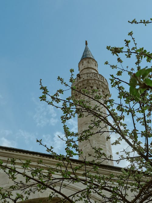 Camlica Mosque Minaret behind Tree Leaves