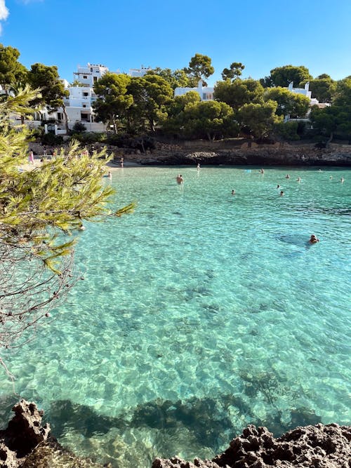 People Swimming in Clear Turquoise Water