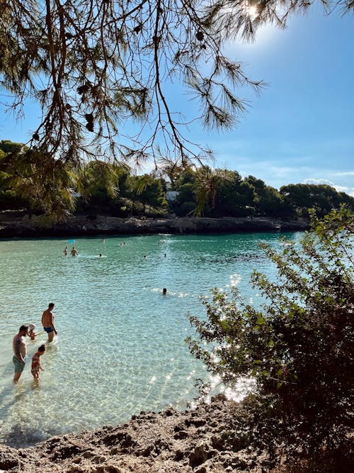 People Swimming in the Sea