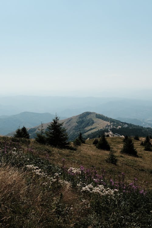 คลังภาพถ่ายฟรี ของ kopaonik, กลางวัน, กลางแจ้ง