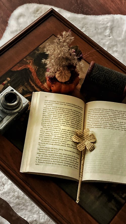 Book and Camera by Autumn Decoration