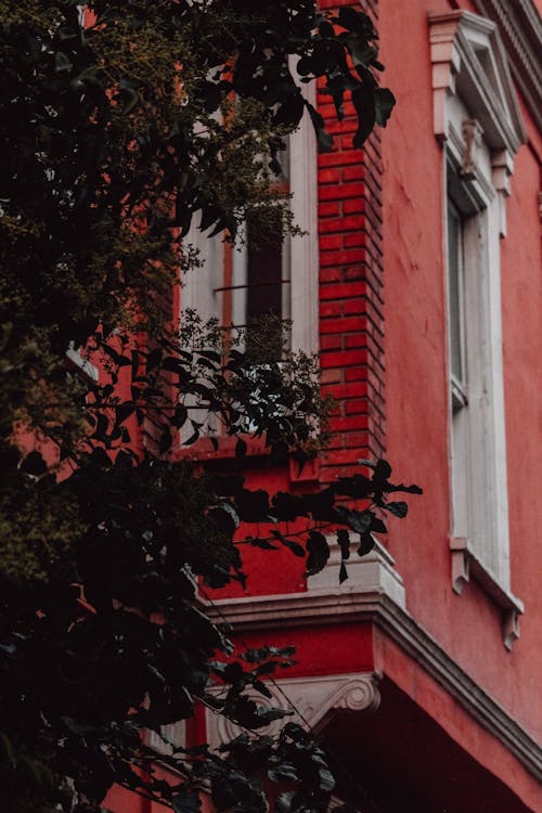 Corner of a Red Building in City and Tree Branches