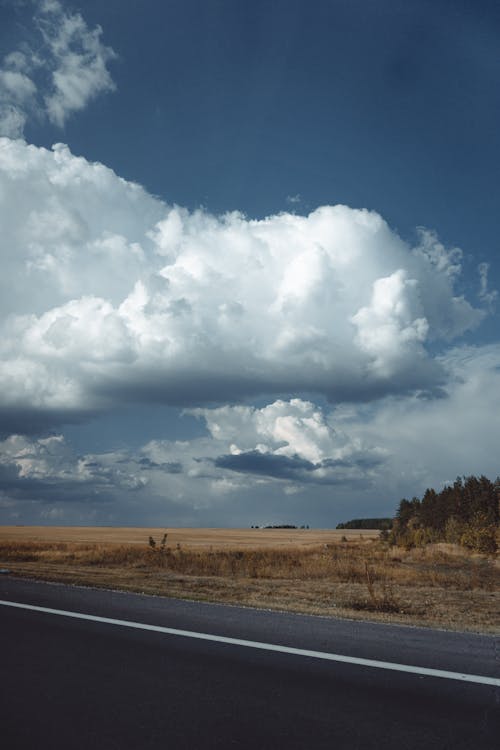 垂直拍摄, 夏天, 多雲的 的 免费素材图片