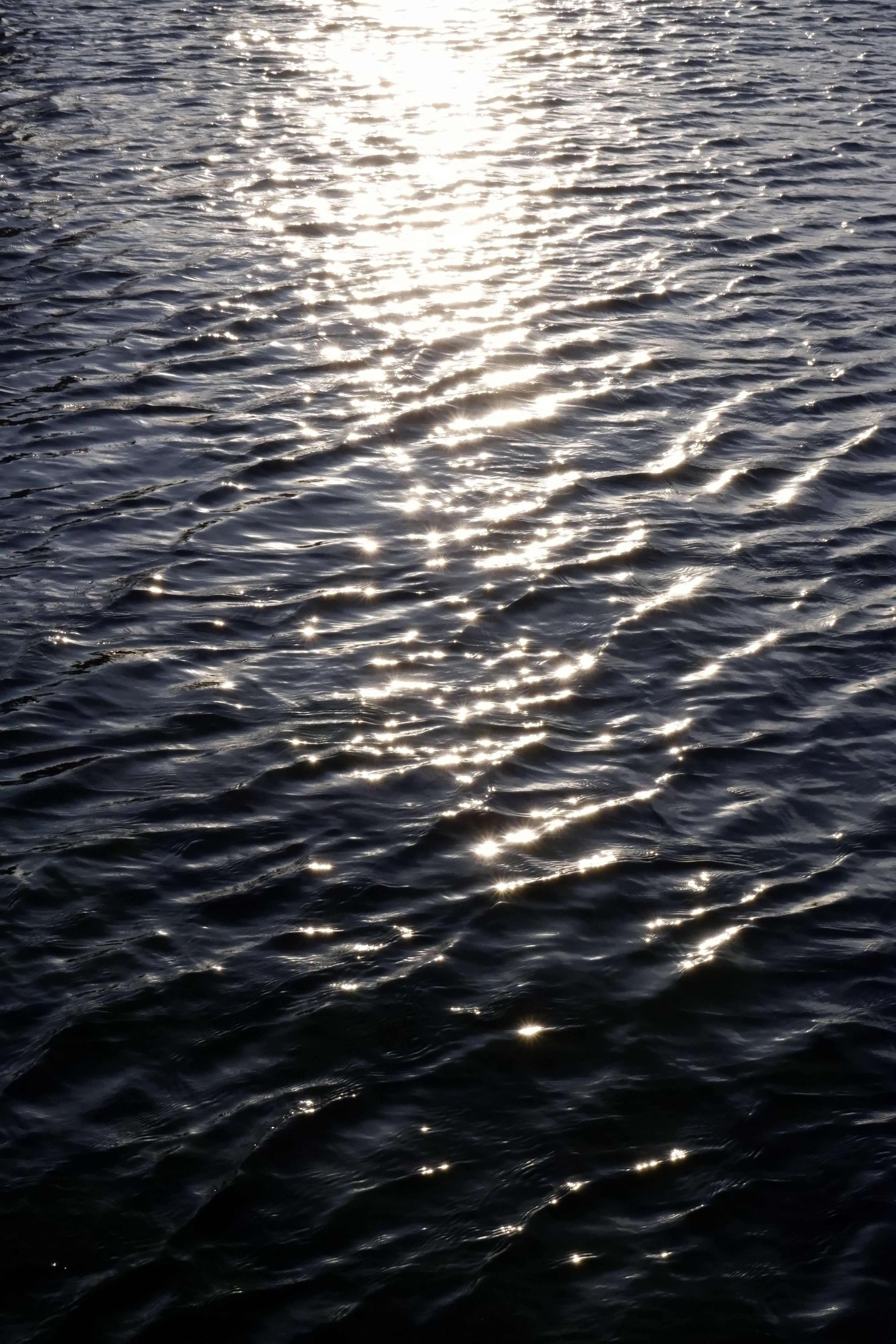 Sunlight Reflecting in the Water Surface · Free Stock Photo